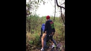 CRUISING WOODS