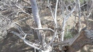 Gran Canaria – Public fun on the beach and Dunes – Caught a lot of times